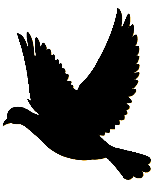 Descriptive text for the image