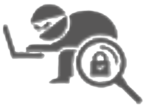 Fraud Detection and Elimination